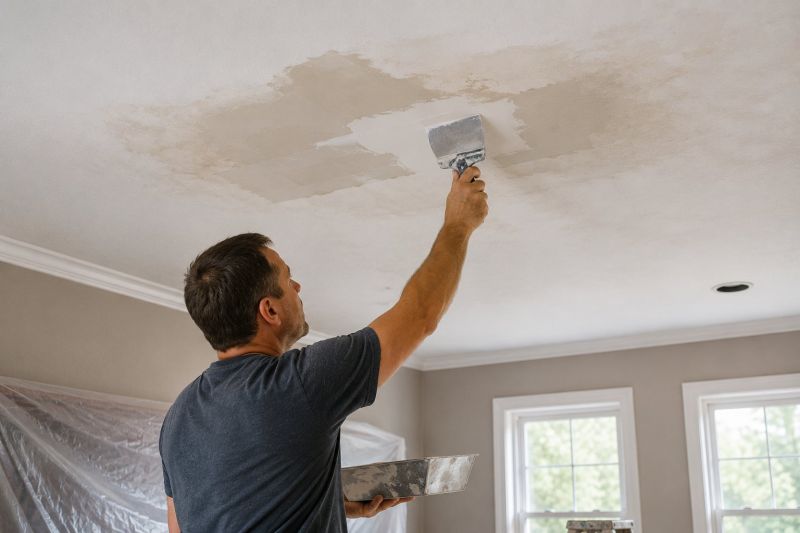 Ceiling Leak Repair Service in Charleston, SC