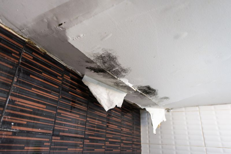 Attic Water Damage Repair in Conroe, TX