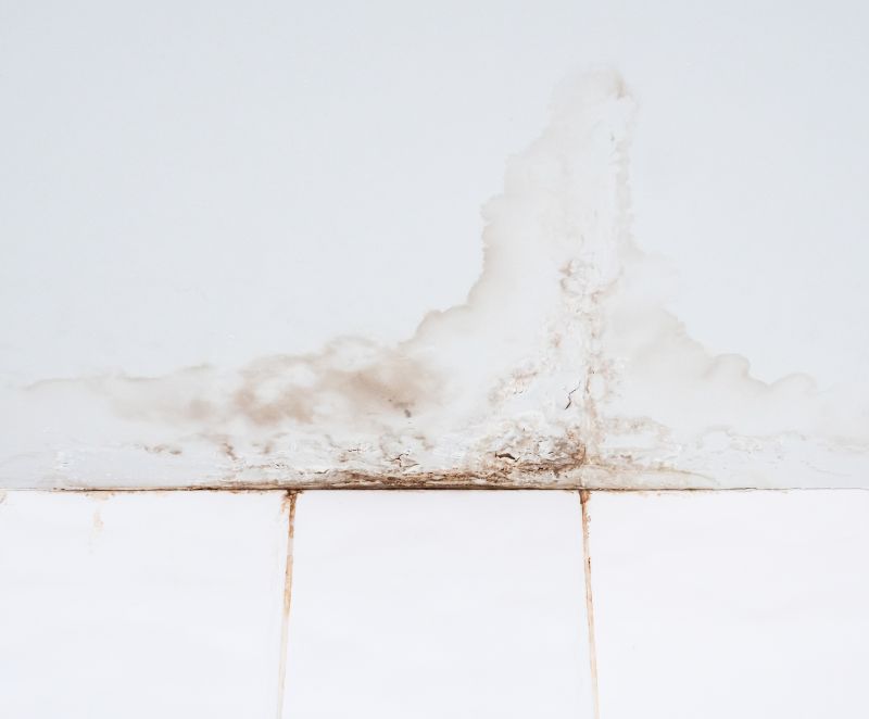 Bathroom Water Damage Repair in Summerville, SC