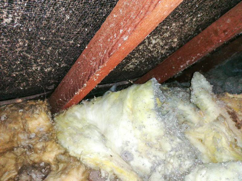 Cost of Insulation Removal — Cost of Insulation Removal