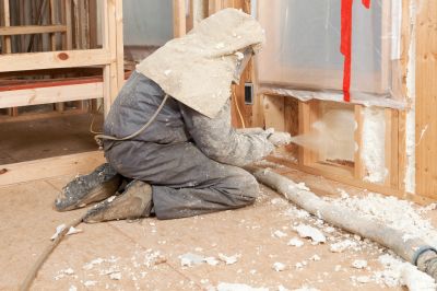 Cost of Insulation Removal — Cost of Insulation Removal