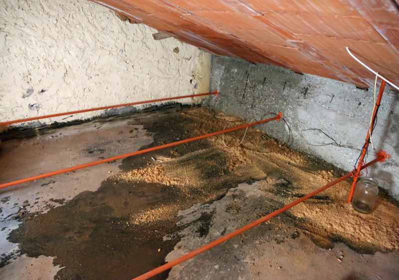 Crawl Space Remediation in Houston, TX