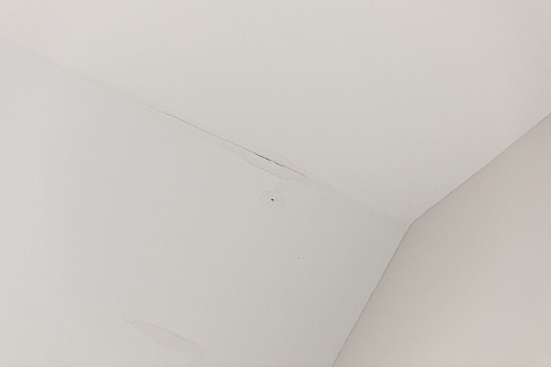 Water Damage Ceiling Repair in Santa Rosa, CA